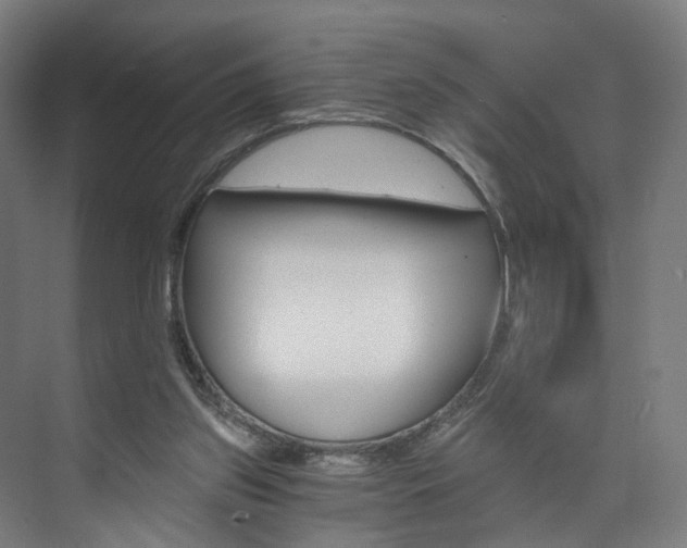 X0000074000157200608211117