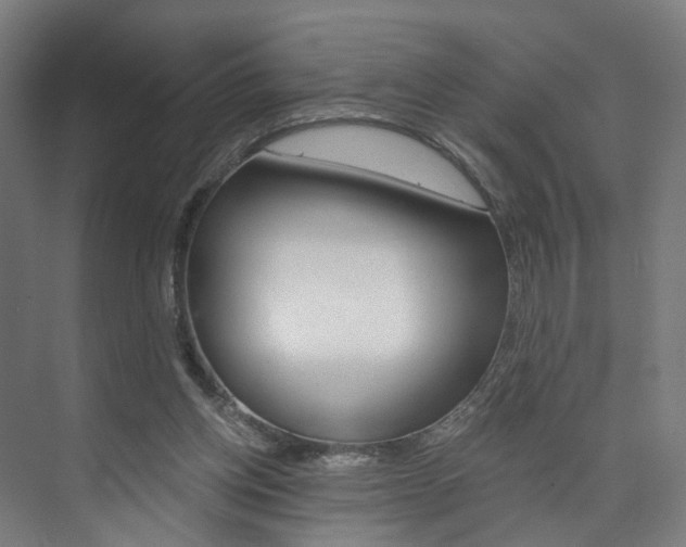 X0000074000158200608211117