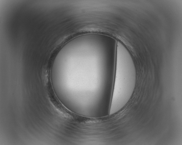 X0000074000160200608211117