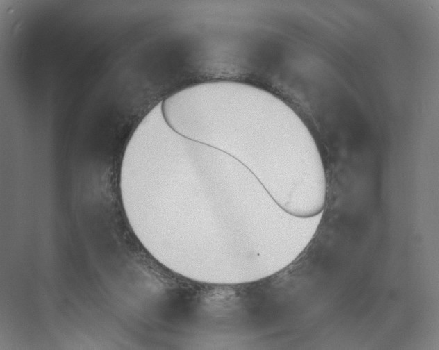 X0000074000162200608211117