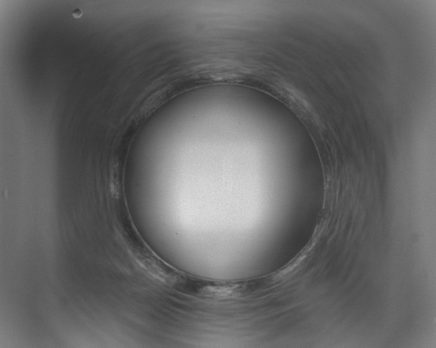 X0000074000170200608211117