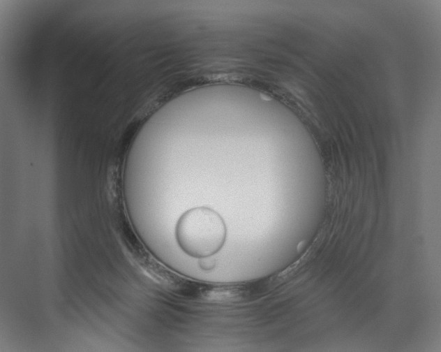 X0000074000171200608211117