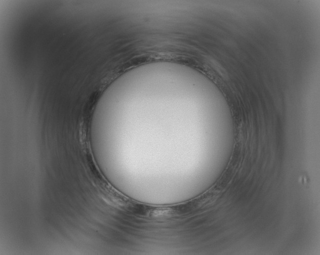 X0000074000173200608211117