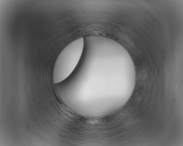 X0000074000177200608211117
