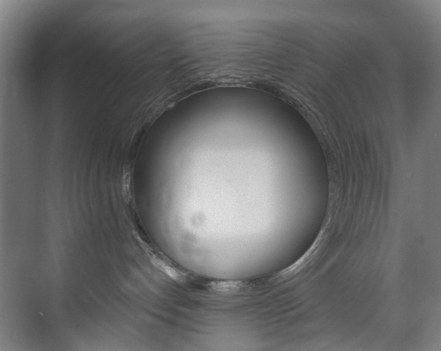 X0000074000192200608211117
