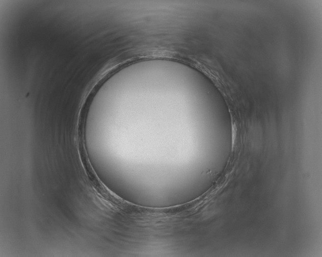 X0000074000195200608211116