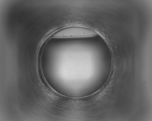 X0000074000199200608211116