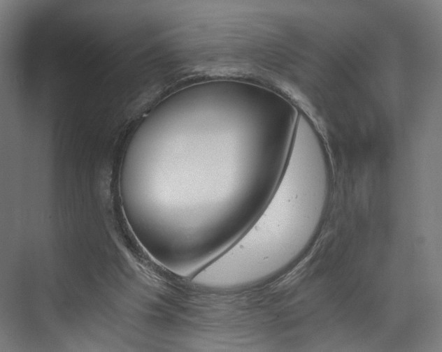 X0000074000201200608211116