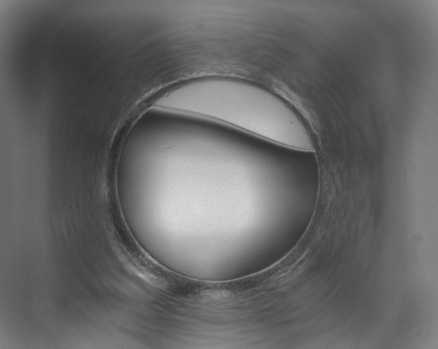 X0000074000203200608211116