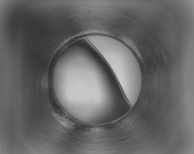 X0000074000204200608211116