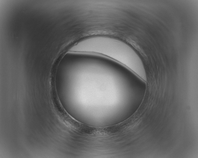 X0000074000207200608211116