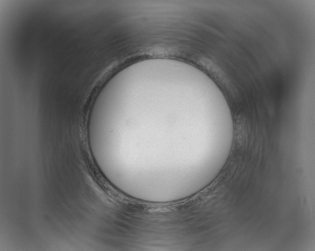 X0000074000208200608211116