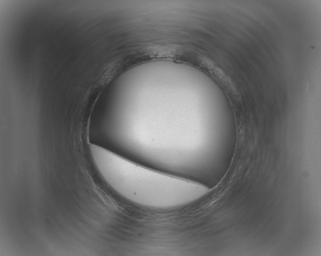 X0000074000209200608211116