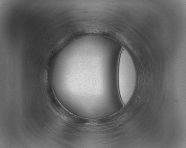 X0000074000211200608211116