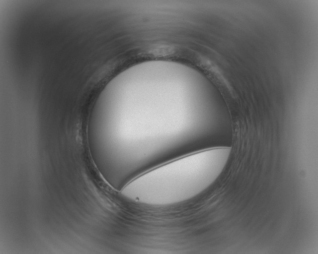 X0000074000212200608211116