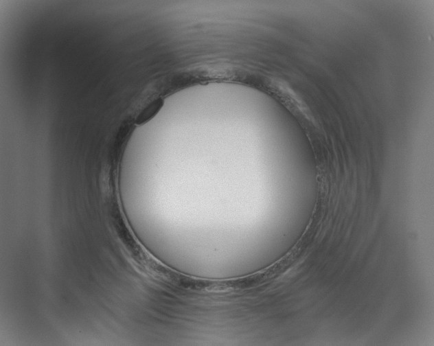 X0000074000213200608211116