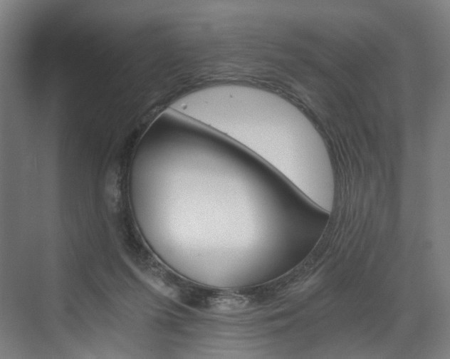 X0000074000215200608211116