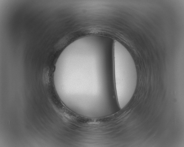 X0000074000216200608211116