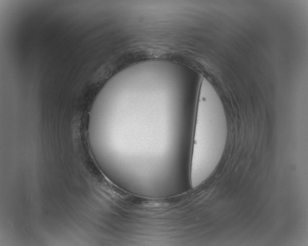 X0000074000221200608211116