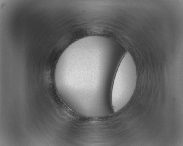 X0000074000224200608211116