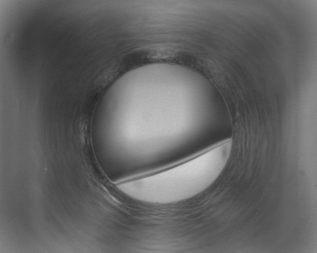 X0000074000227200608211116
