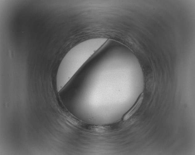 X0000074000229200608211116