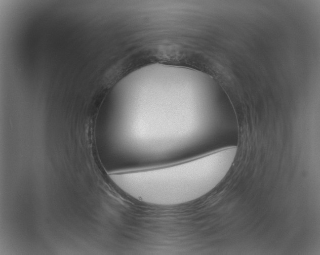 X0000074000233200608211116