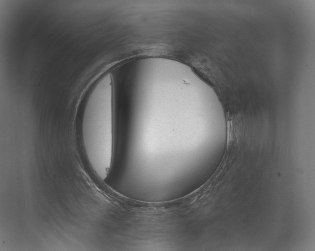 X0000074000243200608211115