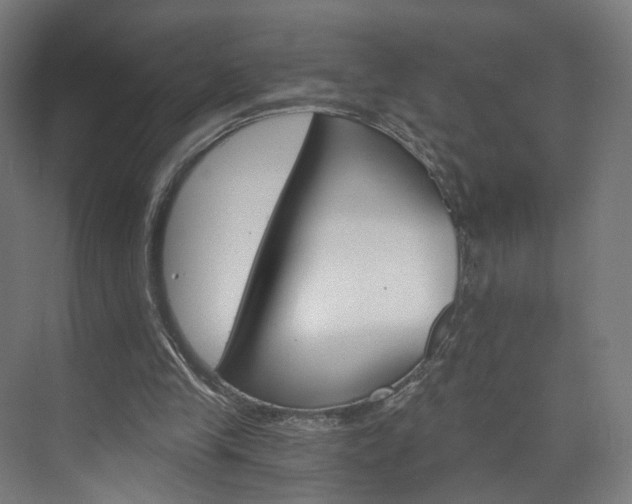 X0000074000245200608211115