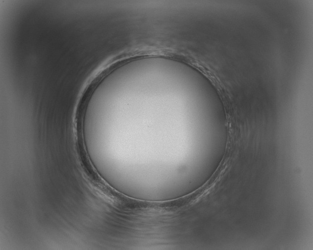 X0000074000246200608211115