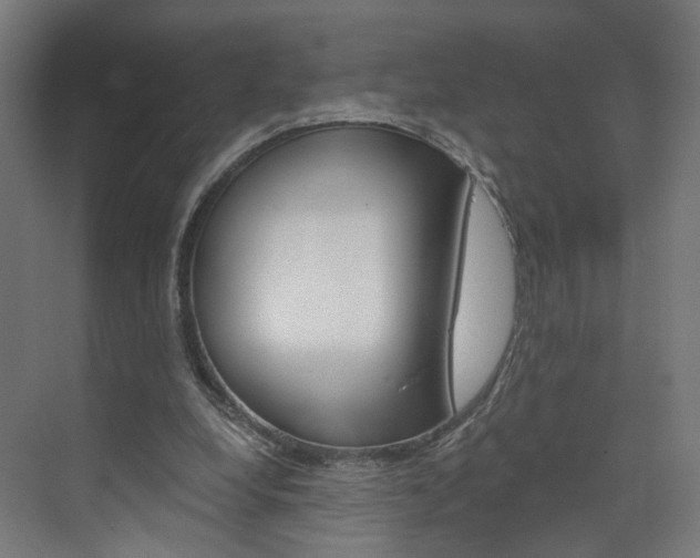 X0000074000248200608211115
