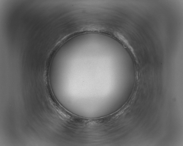 X0000074000249200608211115