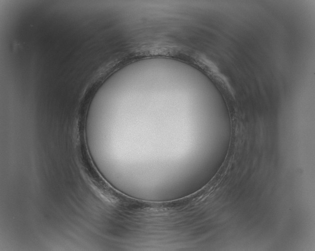 X0000074000250200608211115