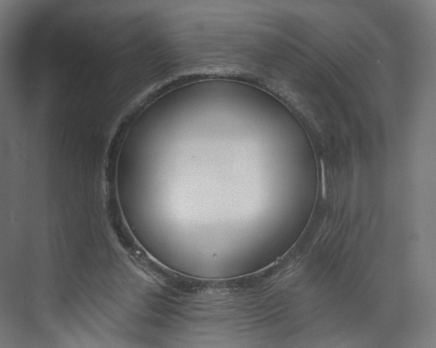 X0000074000252200608211115