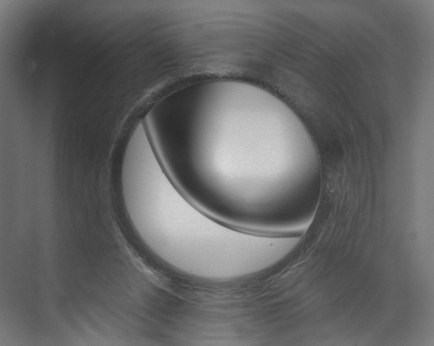 X0000074000256200608211115