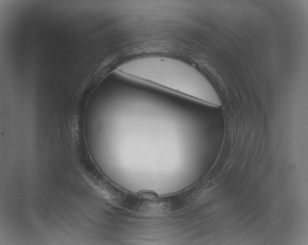 X0000074000260200608211115