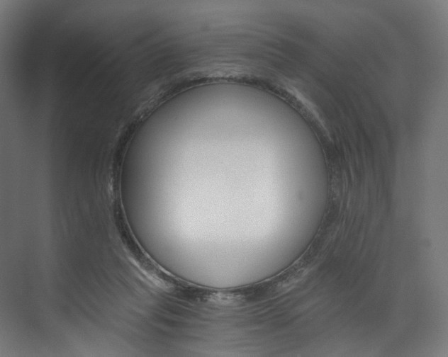X0000074000261200608211115