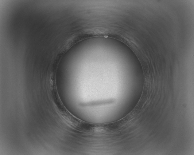 X0000074000264200608211115