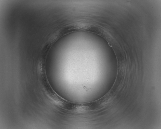 X0000074000268200608211115