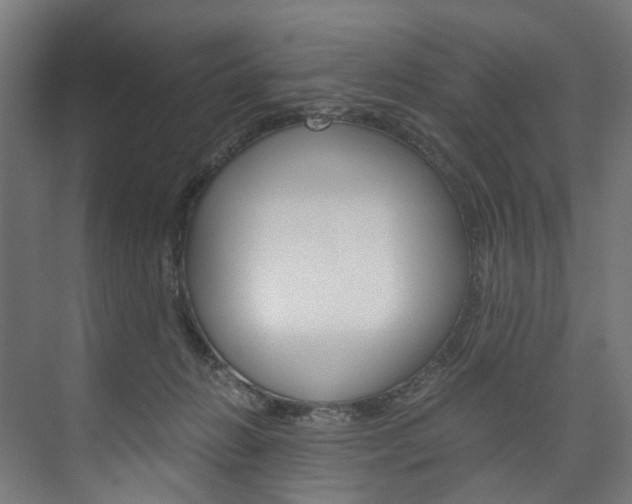 X0000074000270200608211115
