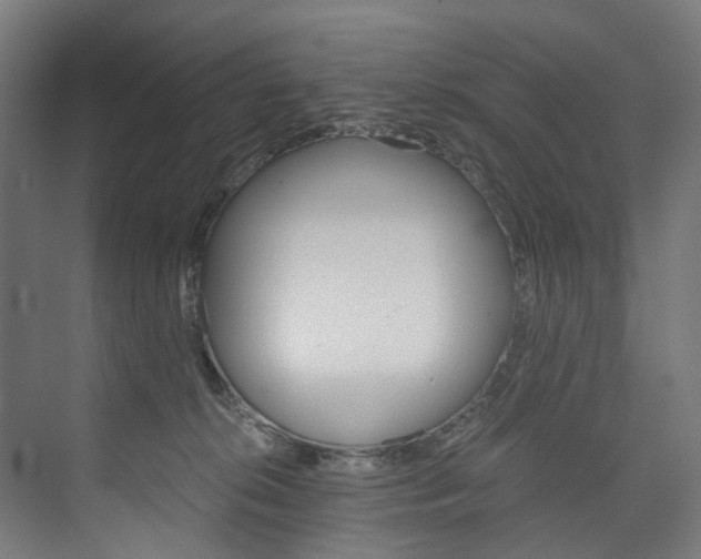 X0000074000276200608211115