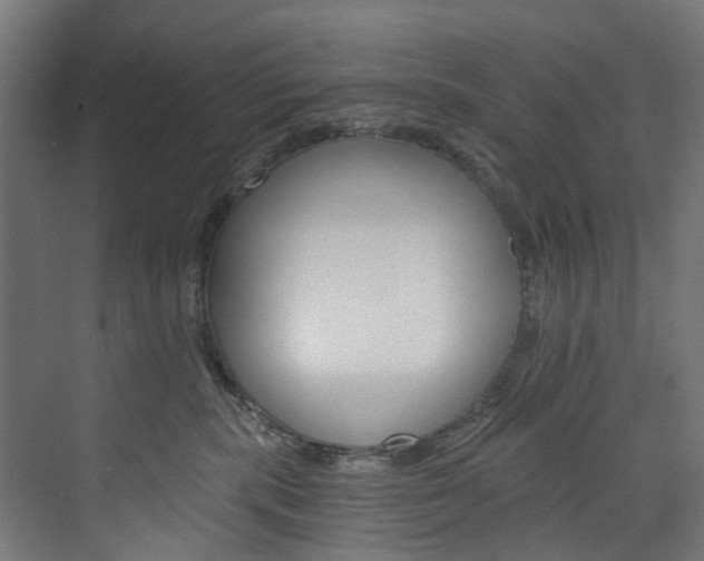 X0000074000283200608211116