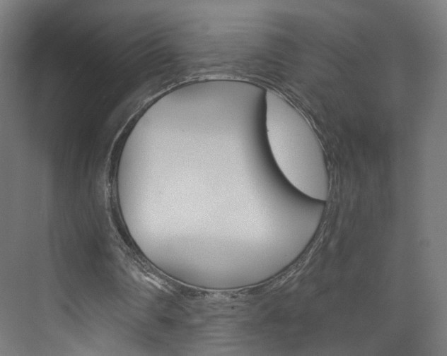 X0000074000290200608211115