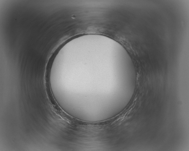 X0000074000292200608211115
