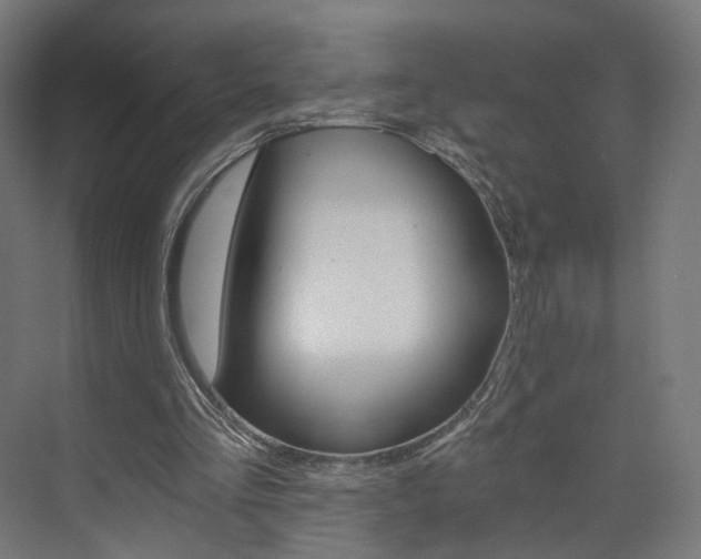 X0000074000293200608211115
