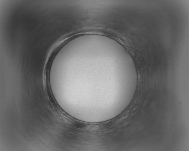 X0000074000294200608211115