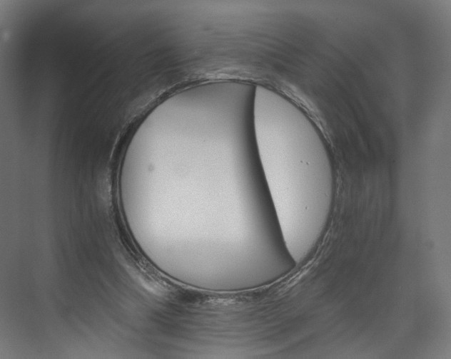 X0000074000298200608211115