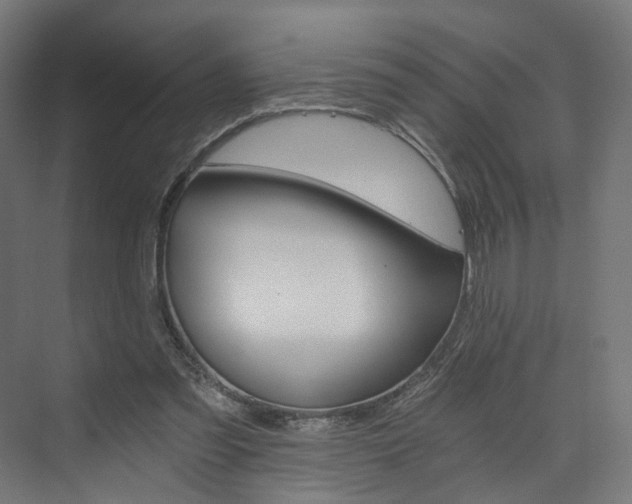 X0000074000301200608211115