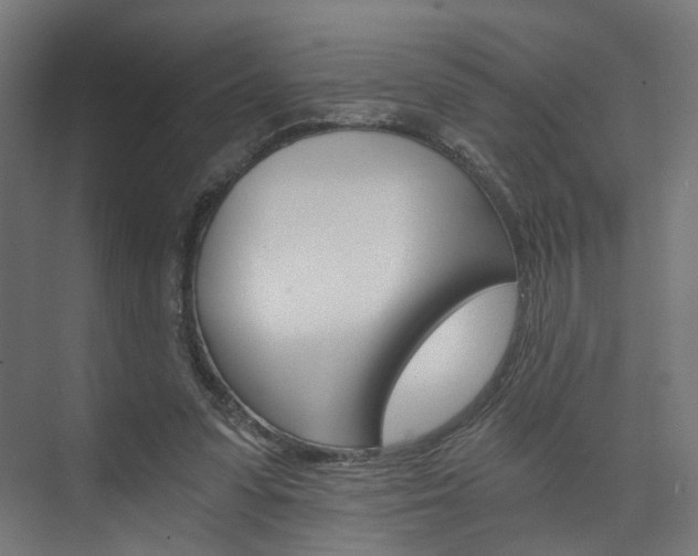 X0000074000303200608211115
