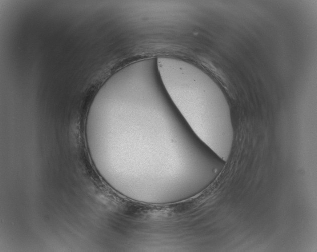 X0000074000306200608211115